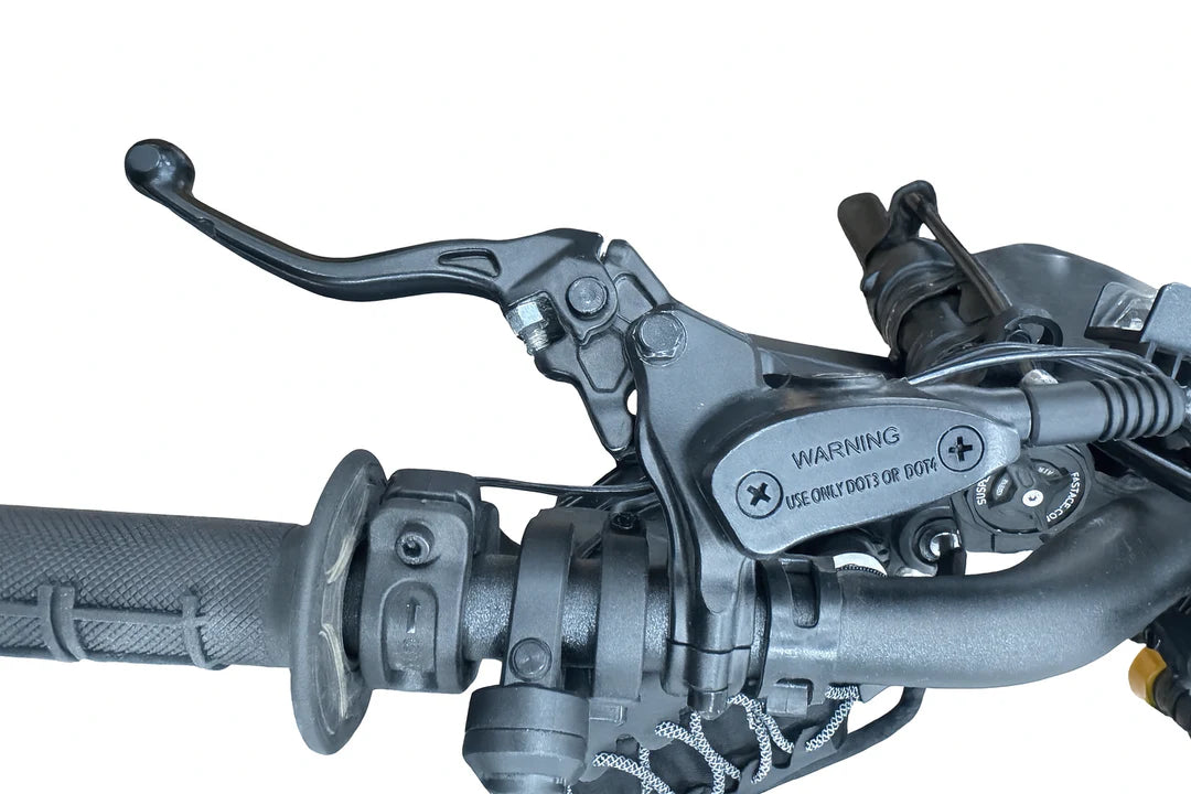 E Ride Pro SS 3.0 / SR OEM Complete Rear Brake