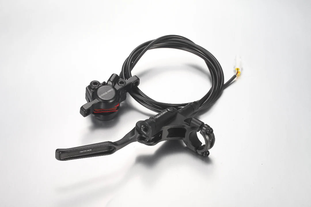 OEM Complete Rear Brake for E Ride Pro Mini